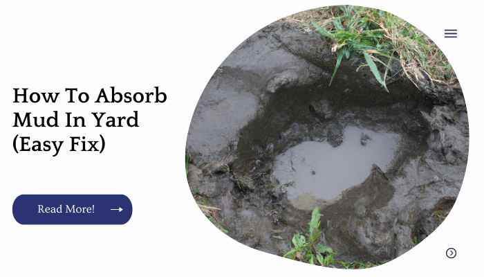 How To Absorb Mud In Yard (Easy Fix)