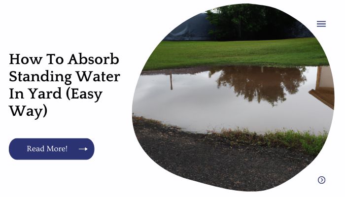 How To Absorb Standing Water In Yard (Easy Way)