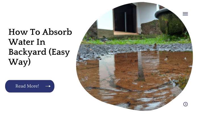 How To Absorb Water In Backyard (Easy Way)