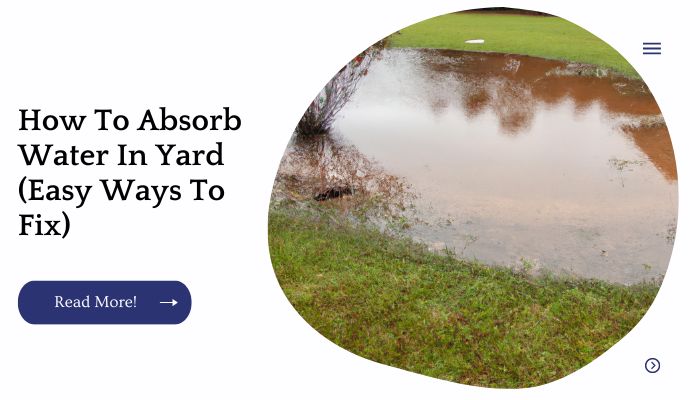 How To Absorb Water In Yard (Easy Ways To Fix)
