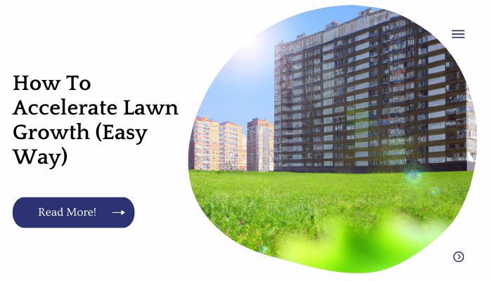 How To Accelerate Lawn Growth (Easy Way)