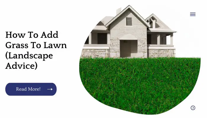 How To Add Grass To Lawn (Landscape Advice)