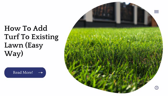 How To Add Turf To Existing Lawn (Easy Way)