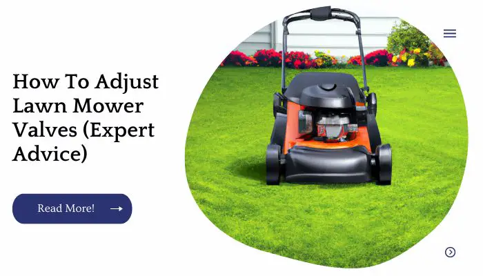 How To Adjust Lawn Mower Valves (Expert Advice)