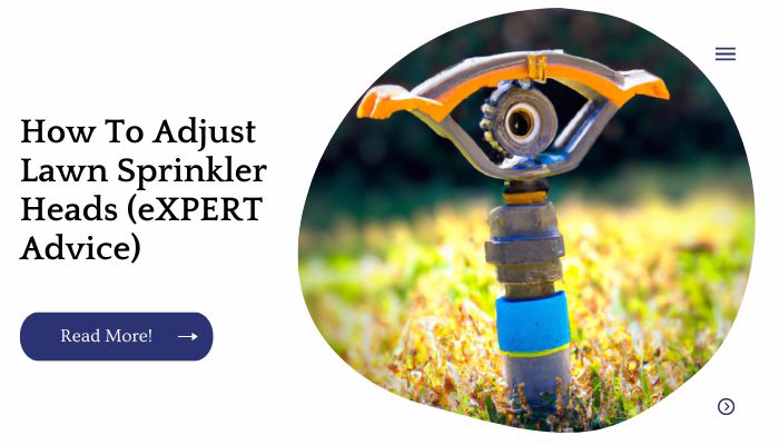 How To Adjust Lawn Sprinkler Heads (eXPERT Advice)