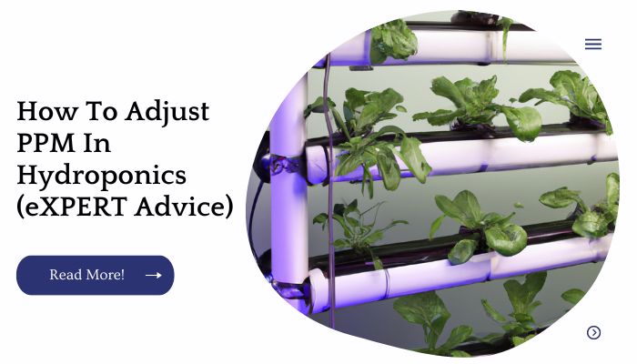 How To Adjust PPM In Hydroponics (eXPERT Advice)