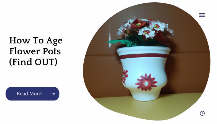 How To Age Flower Pots (Find OUT)