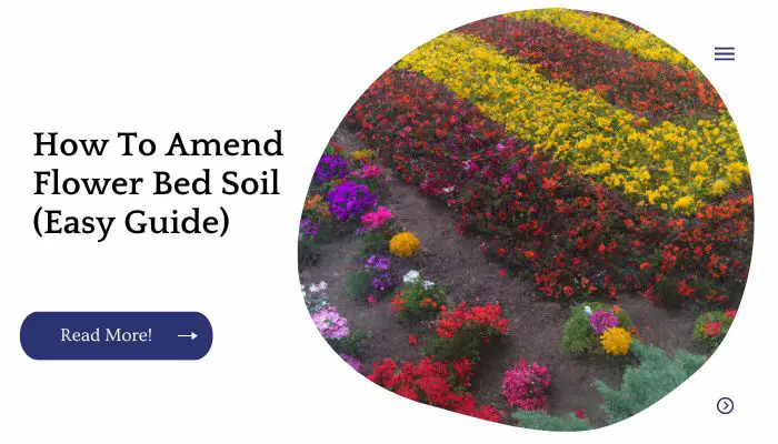 How To Amend Flower Bed Soil (Easy Guide)