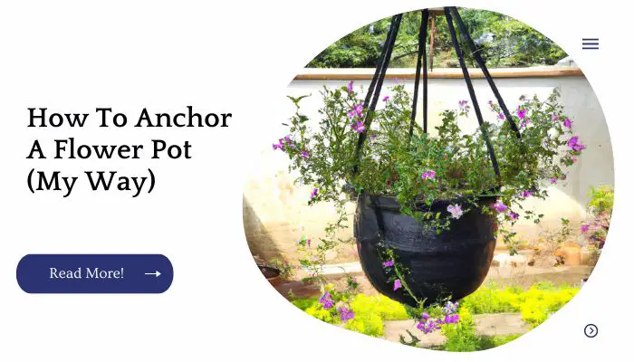 How To Anchor A Flower Pot (My Way)