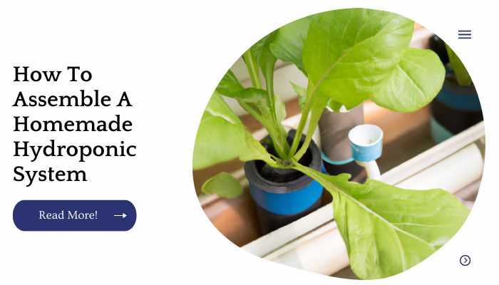 How To Assemble A Homemade Hydroponic System