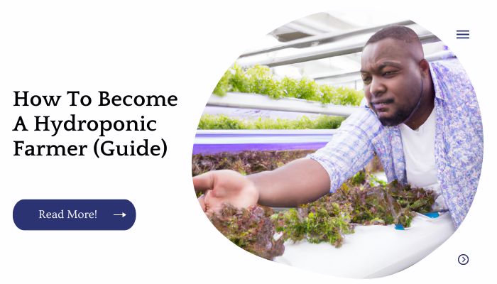 How To Become A Hydroponic Farmer (Guide)
