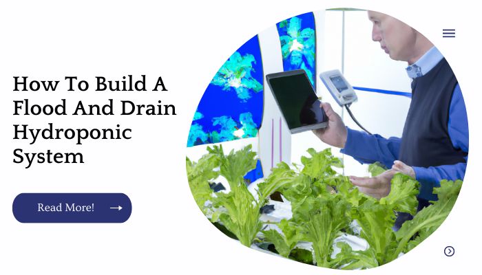 How To Build A Flood And Drain Hydroponic System