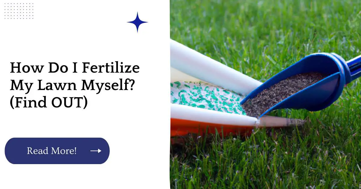 How Do I Fertilize My Lawn Myself? (Find OUT)