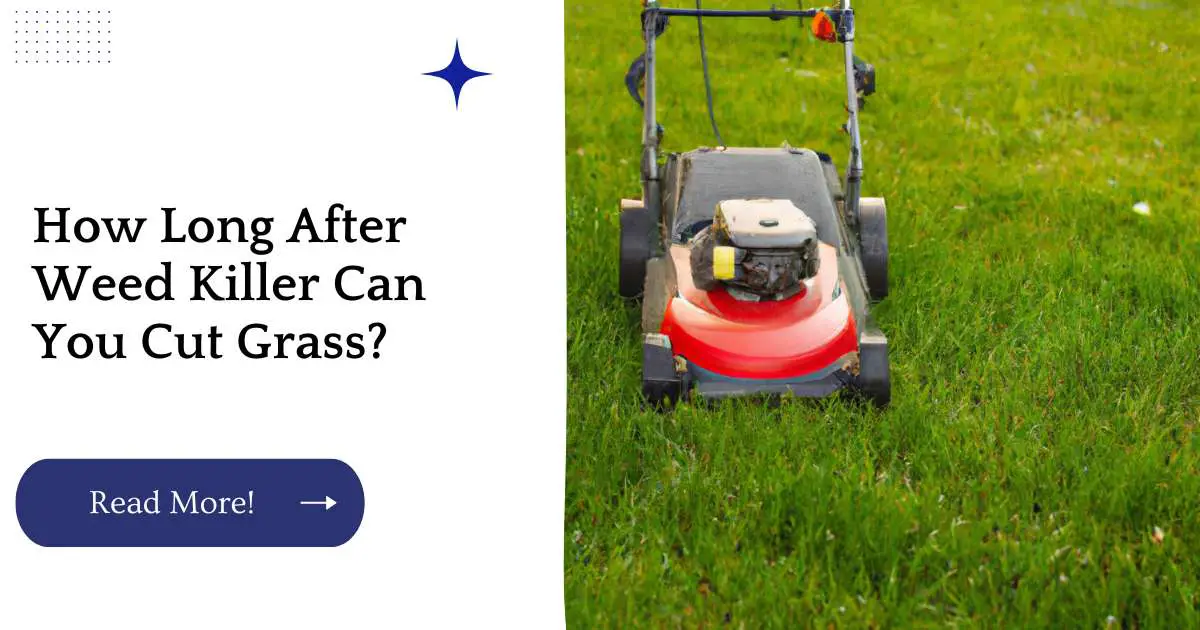 How Long After Weed Killer Can You Cut Grass?