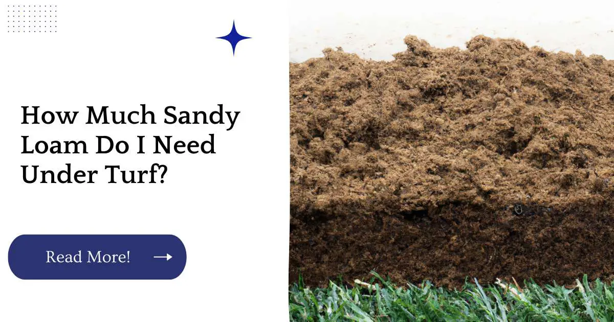 How Much Sandy Loam Do I Need Under Turf?