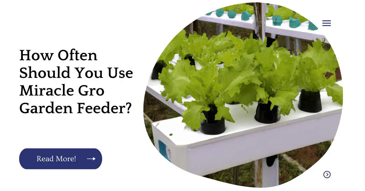 How Often Should You Use Miracle Gro Garden Feeder?