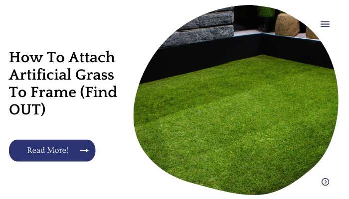 How To Attach Artificial Grass To Frame (Find OUT)