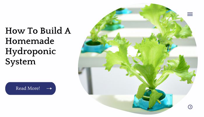 How To Build A Homemade Hydroponic System
