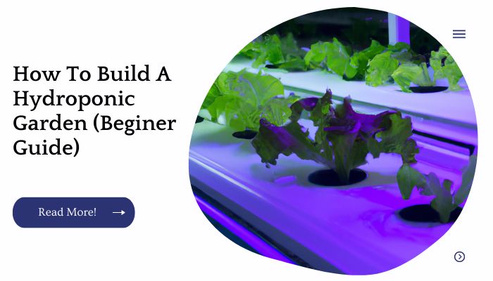 How To Build A Hydroponic Garden (Beginer Guide)