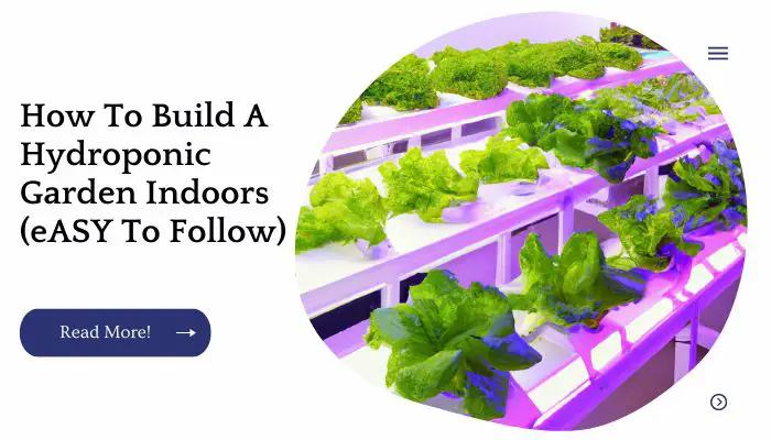 How To Build A Hydroponic Garden Indoors (eASY To Follow)