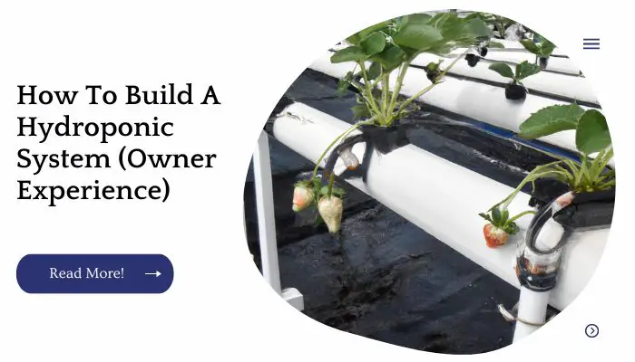 How To Build A Hydroponic System (Owner Experience)