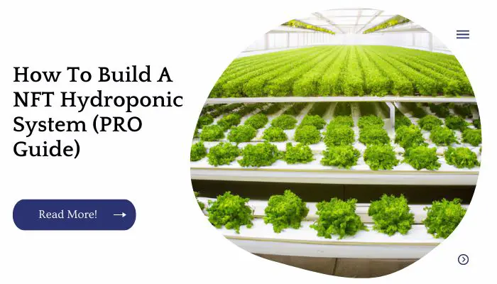 How To Build A NFT Hydroponic System (PRO Guide)