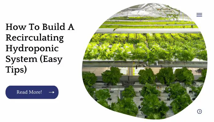 How To Build A Recirculating Hydroponic System (Easy Tips)
