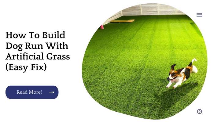 How To Build Dog Run With Artificial Grass (Easy Fix)
