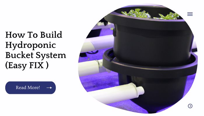 How To Build Hydroponic Bucket System (Easy FIX )