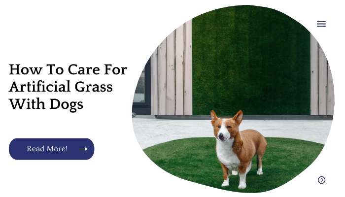 How To Care For Artificial Grass With Dogs