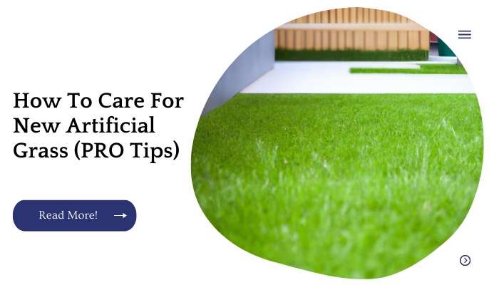 How To Care For New Artificial Grass (PRO Tips)