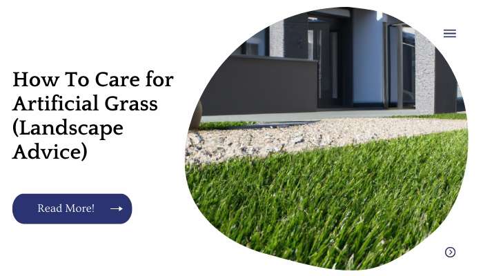 How To Care for Artificial Grass (Landscape Advice)