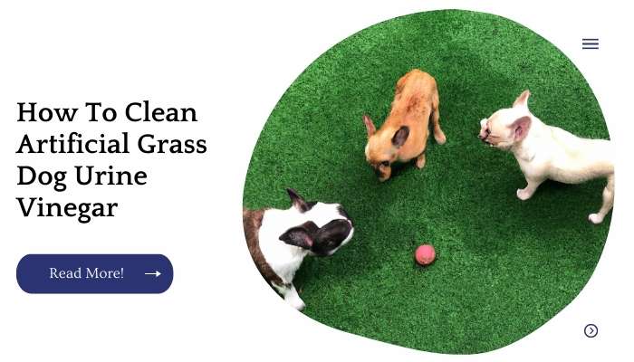 How To Clean Artificial Grass Dog Urine Vinegar