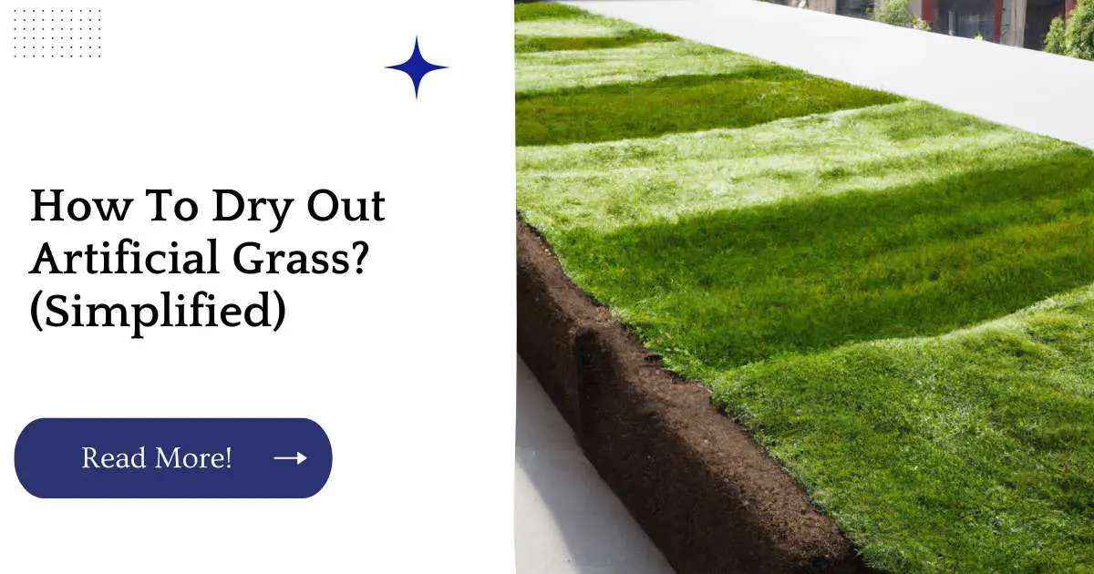 How To Dry Out Artificial Grass? (Simplified)
