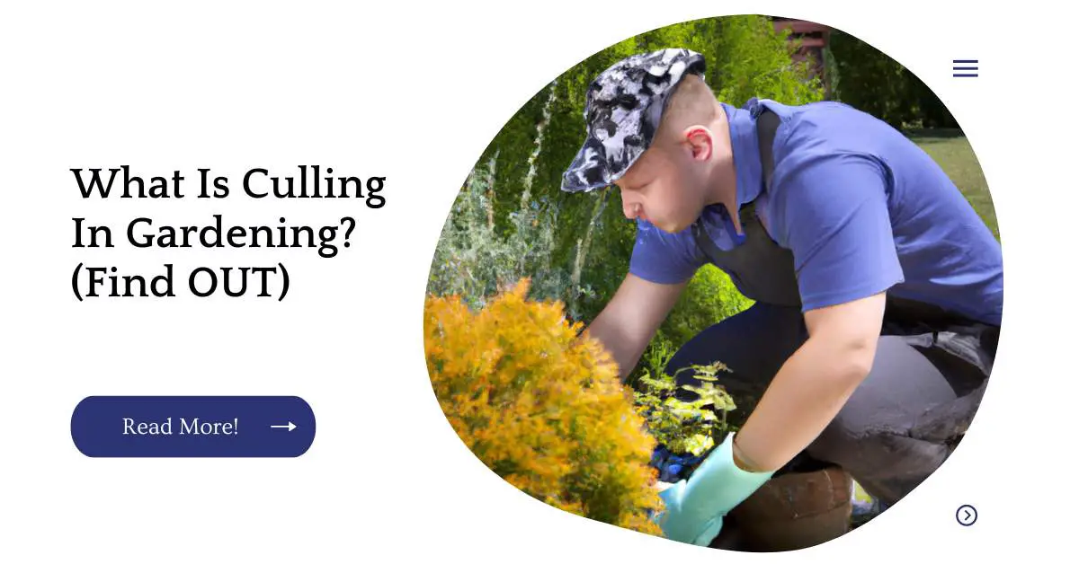 What Is Culling In Gardening? (Find OUT)