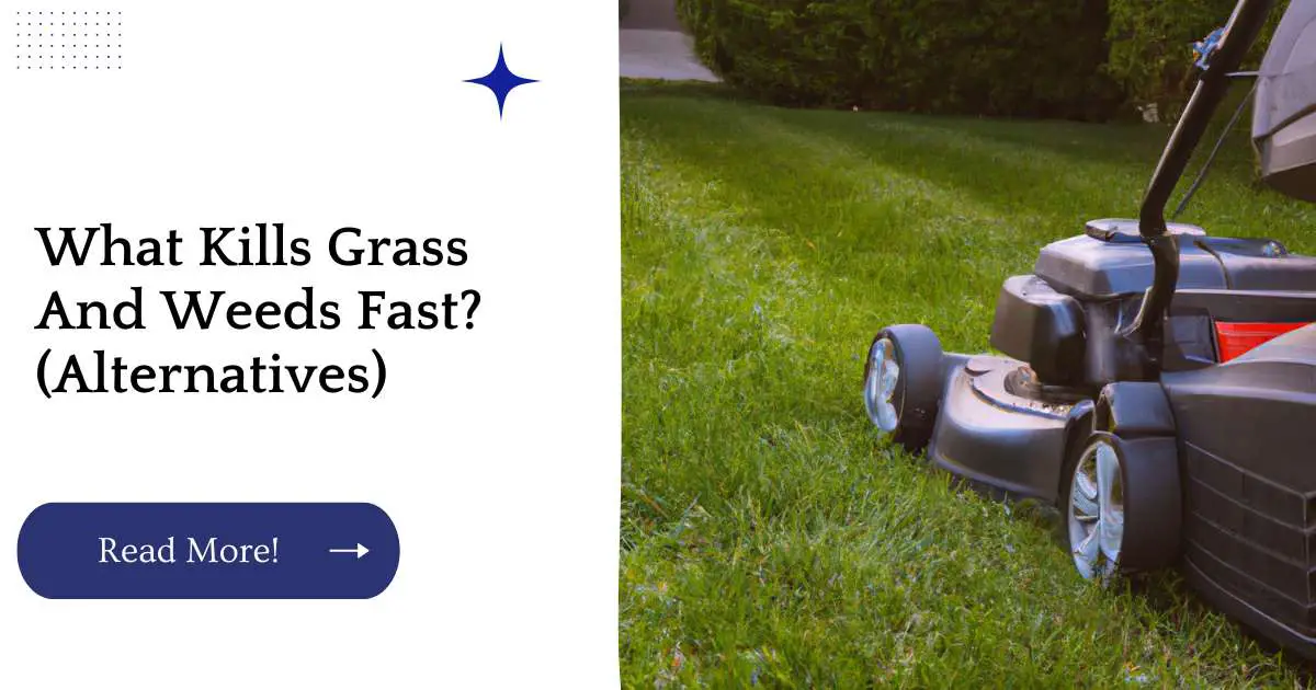 What Kills Grass And Weeds Fast? (Alternatives)