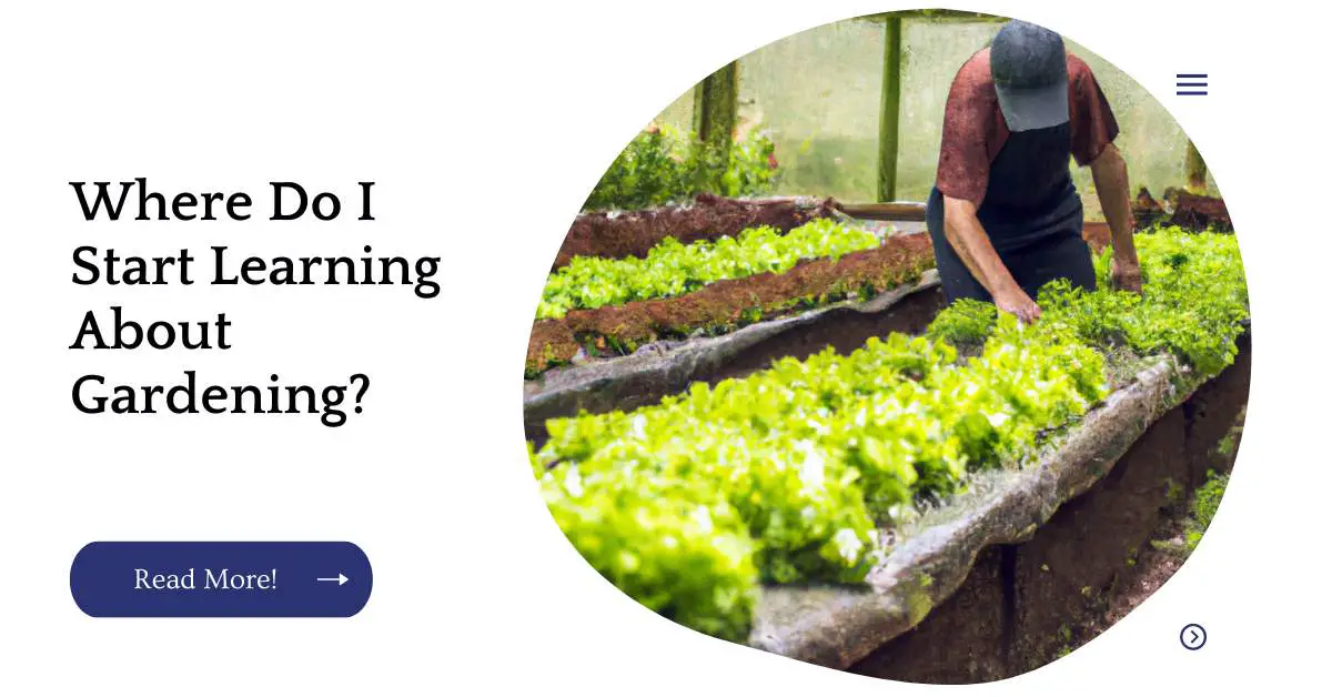 Where Do I Start Learning About Gardening?