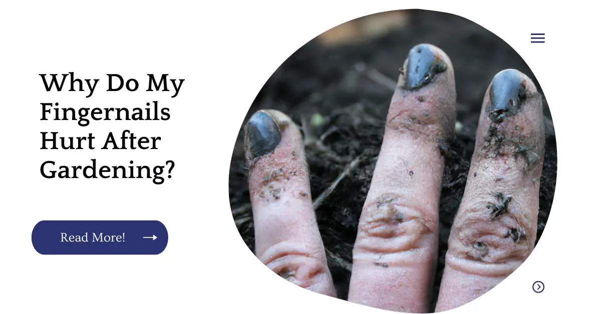 Why Do My Fingernails Hurt After Gardening?
