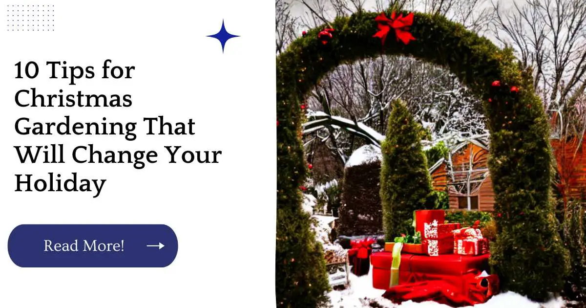 10 Tips for Christmas Gardening That Will Change Your Holiday
