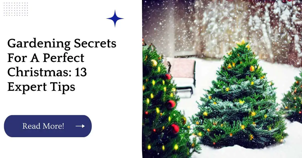 Gardening Secrets For A Perfect Christmas: 13 Expert Tips 