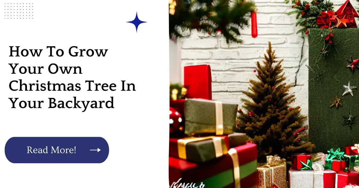 How To Grow Your Own Christmas Tree In Your Backyard