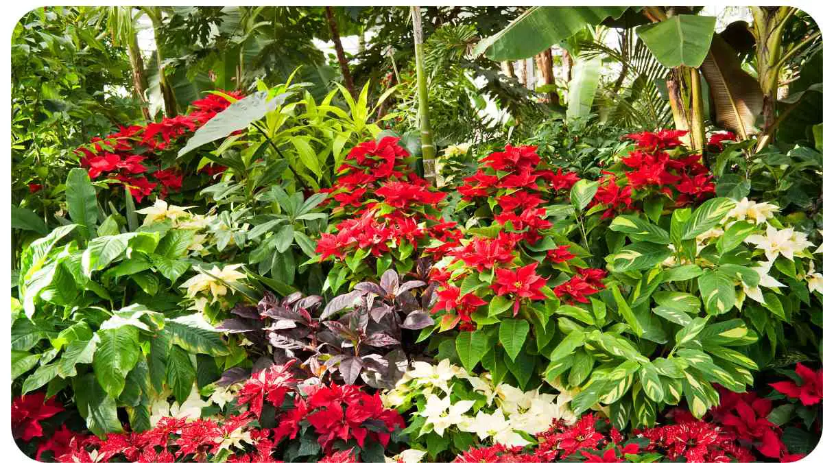 Master Your Christmas Garden: Avoid These Mistakes for Success