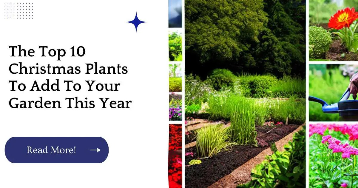 The Top 10 Christmas Plants To Add To Your Garden This Year