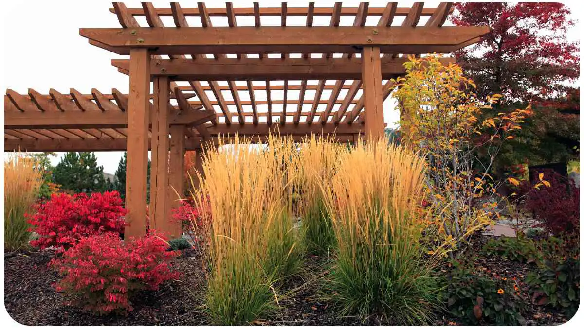 Fixing Wobbly Garden Structures: Pergolas, Arbors, and More