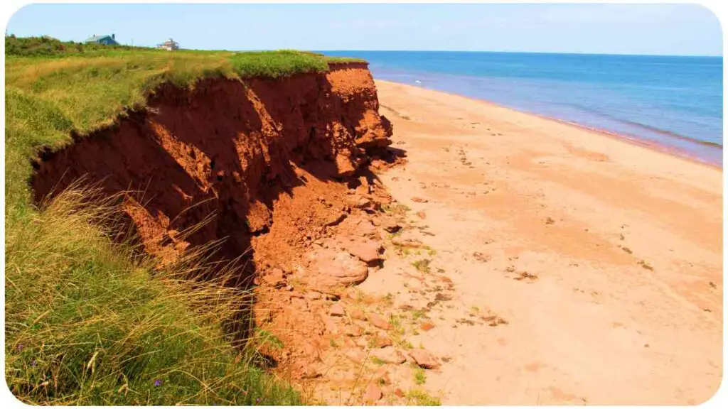 a beach with a cliff on it and a grassy area next to it