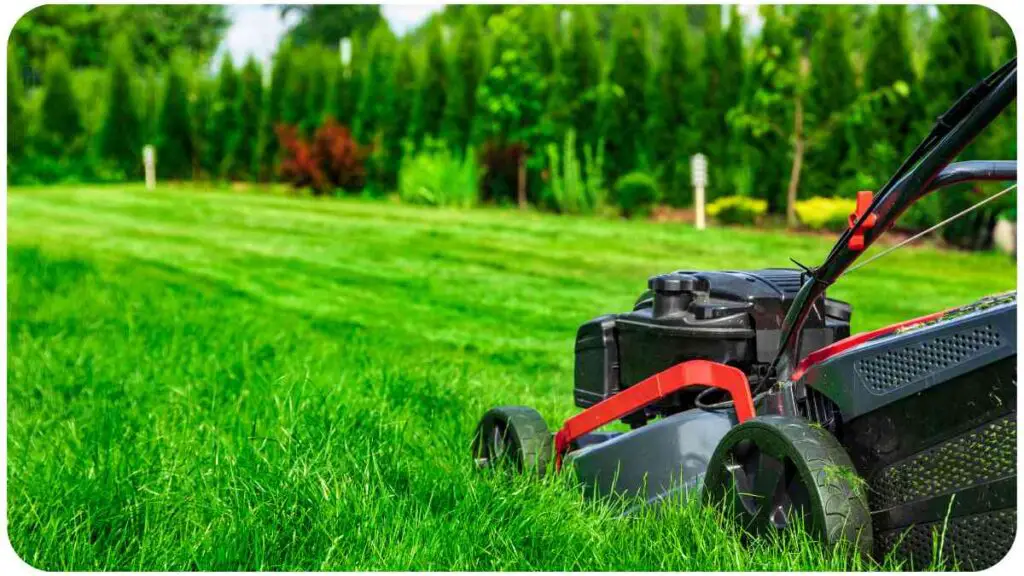 a lawn mower in the middle of a lush green field