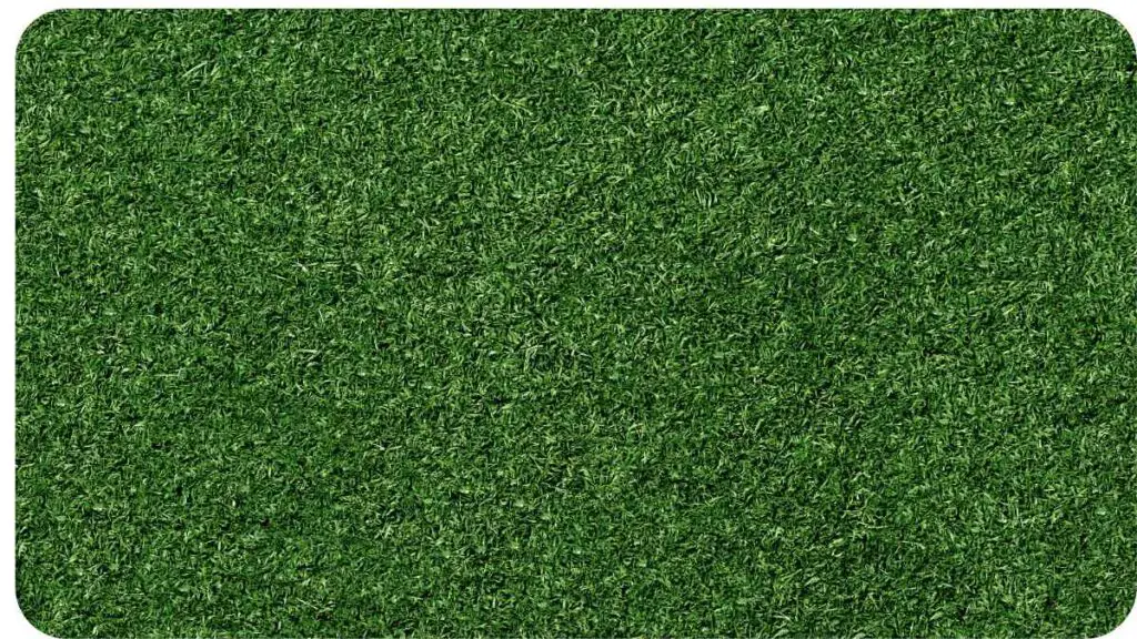 a green artificial grass texture on a black background