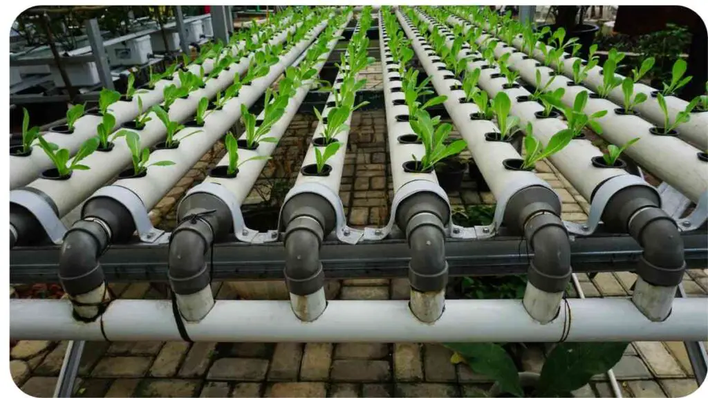an indoor hydroponic system with plants growing on the pipes