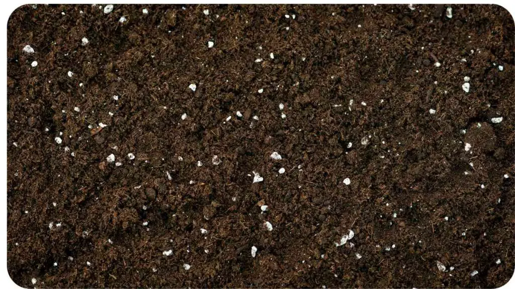 a close up view of dirt with white snow on it