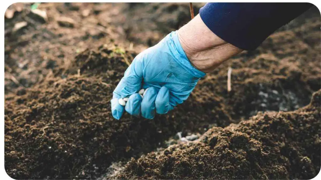 a person in blue gloves picking up dirt from the ground